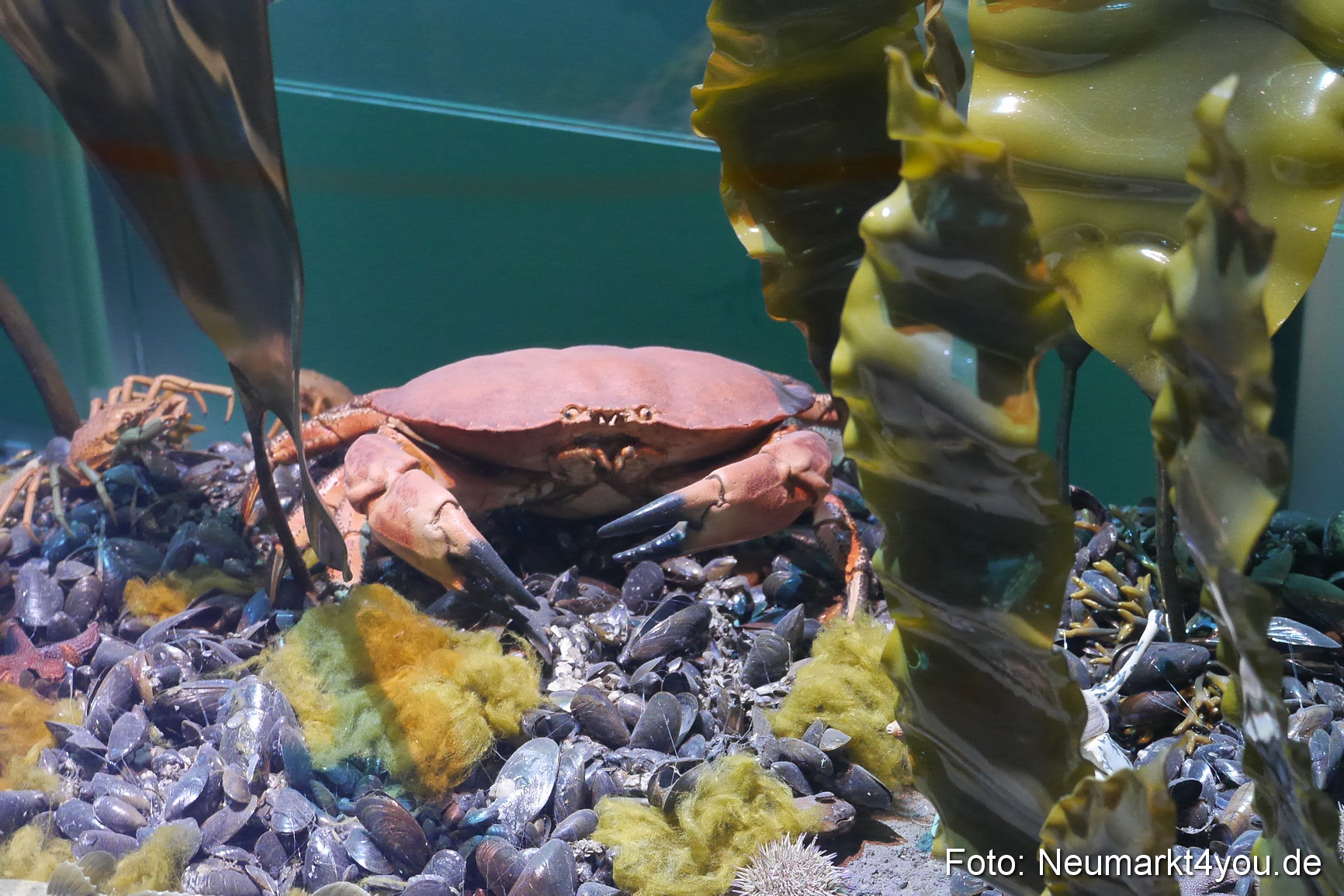 Stralsund Sommer 2014