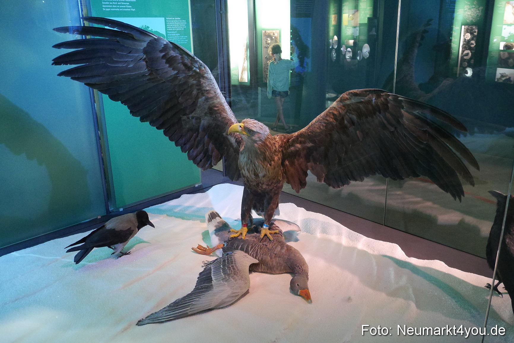 Stralsund Sommer 2014