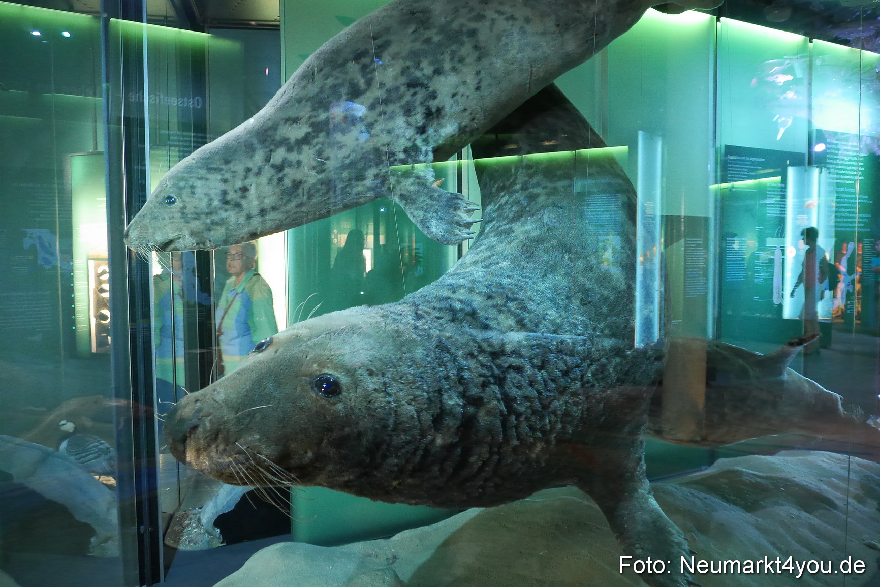 Stralsund Sommer 2014