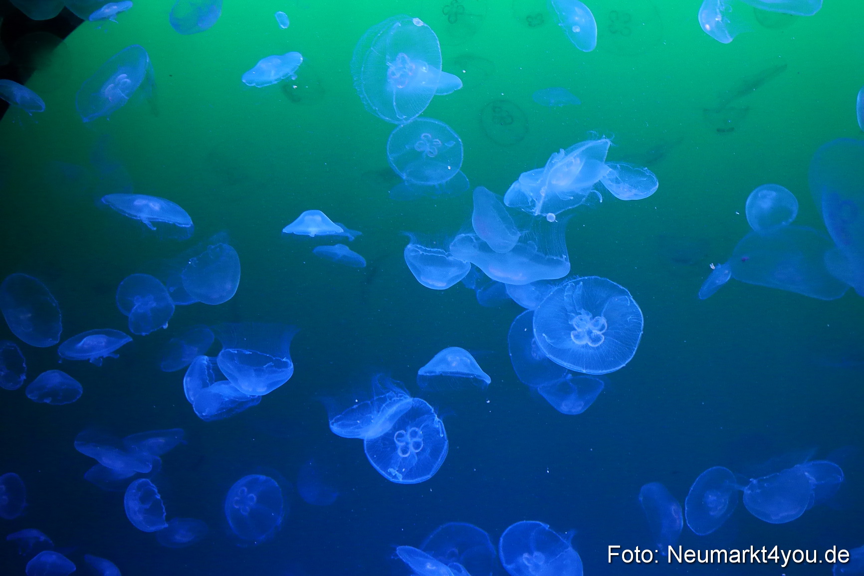 Stralsund Sommer 2014