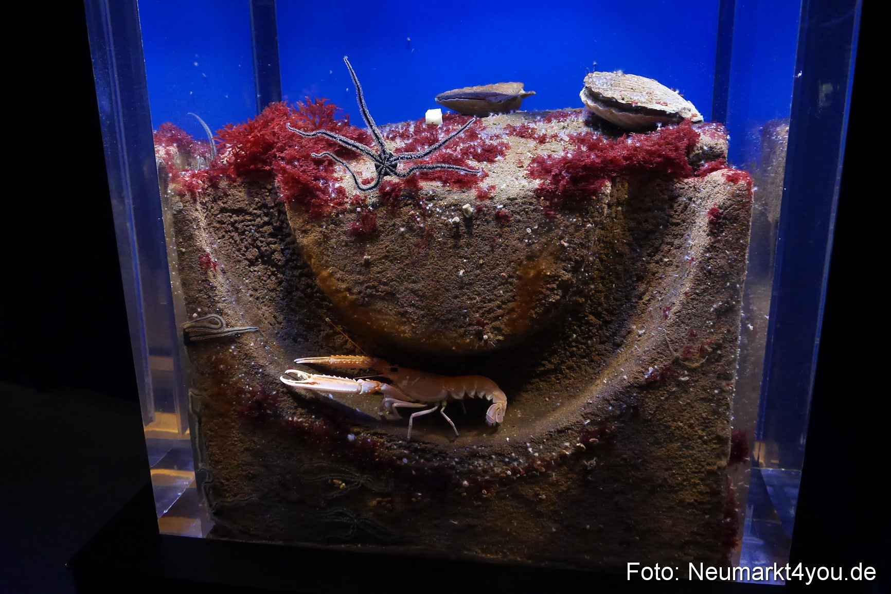 Stralsund Sommer 2014