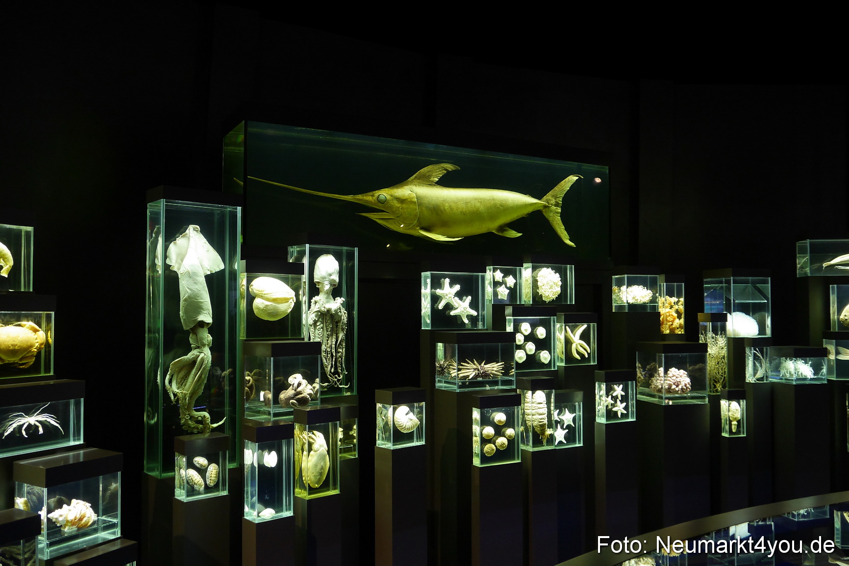 Stralsund Sommer 2014