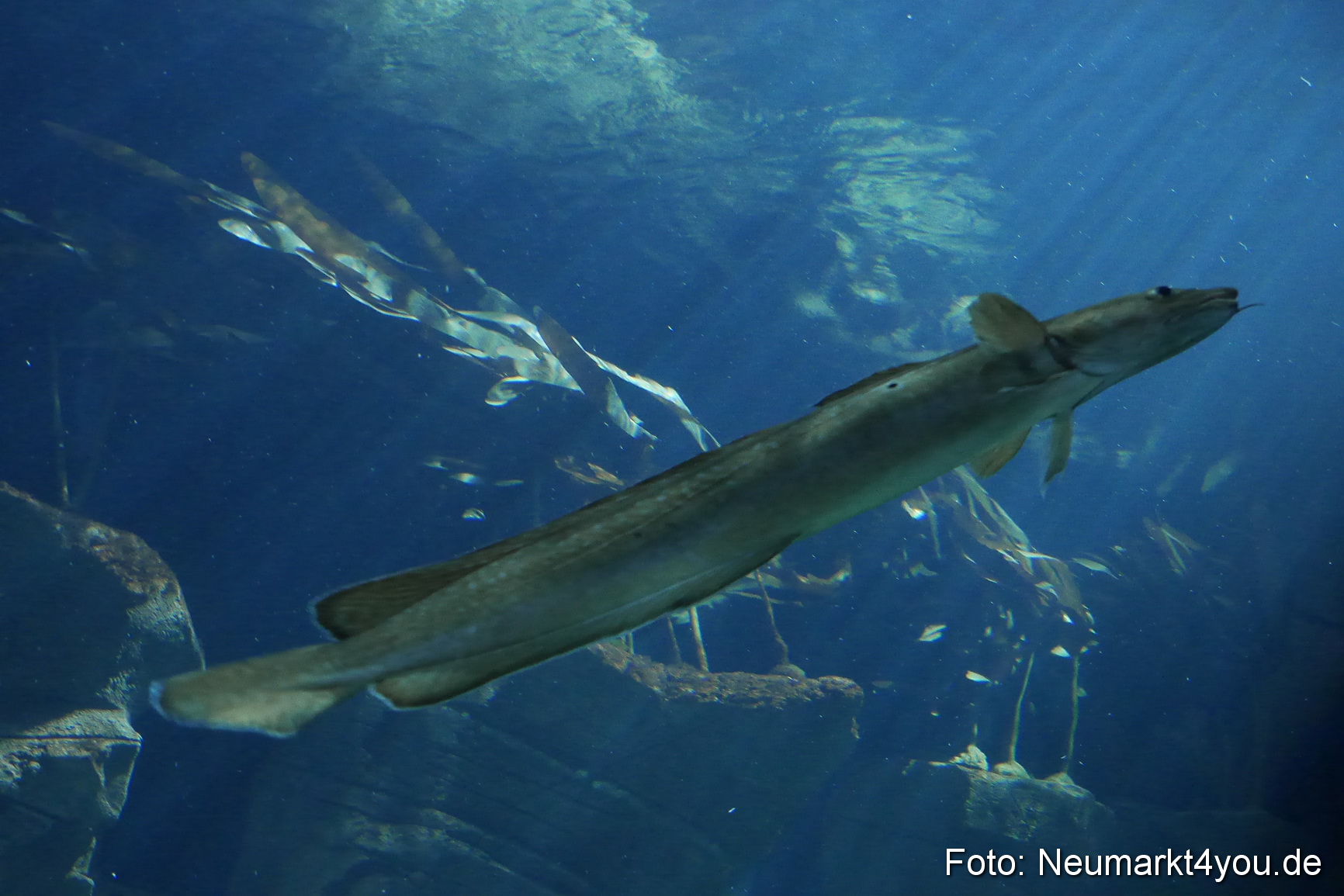 Stralsund Sommer 2014