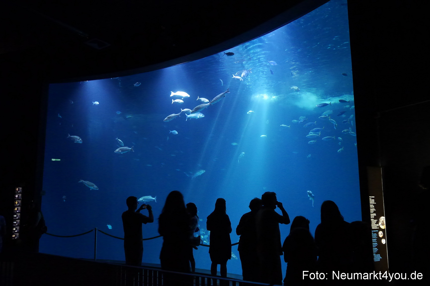 Stralsund Sommer 2014