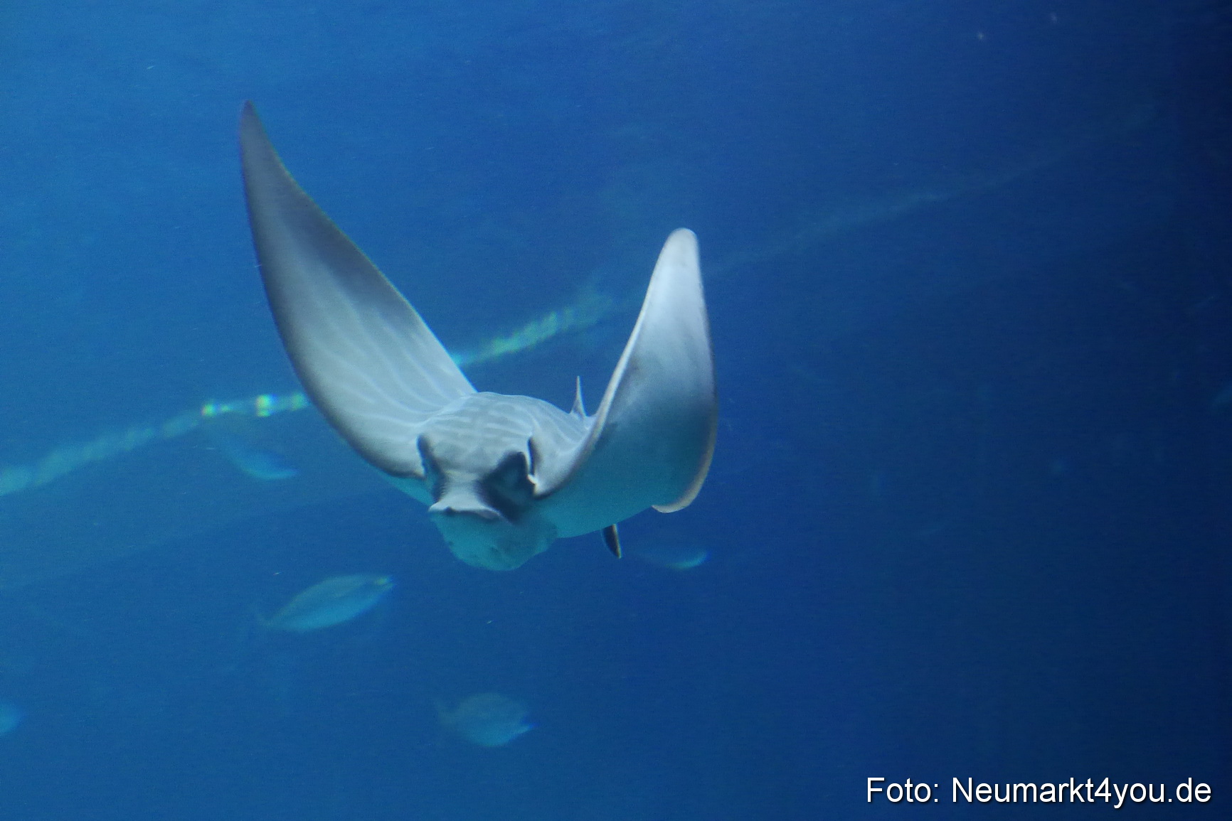 Stralsund Sommer 2014