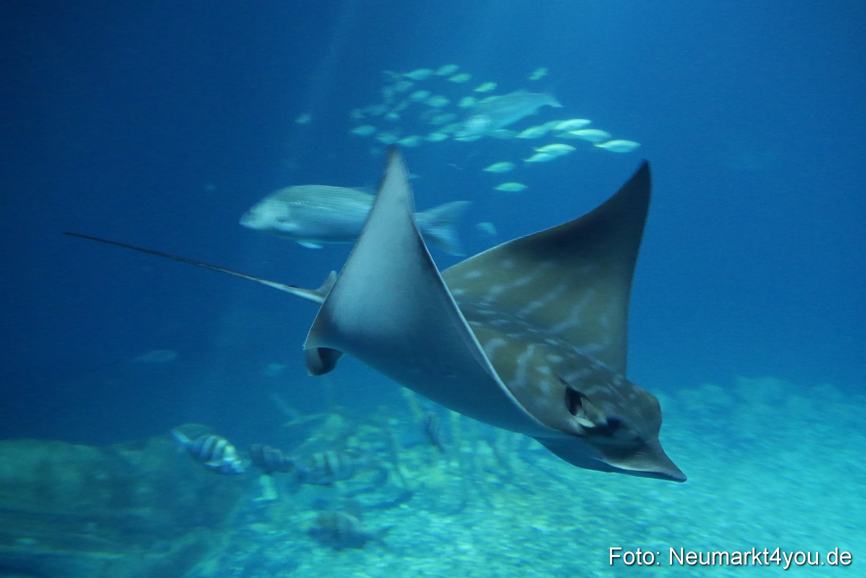 Stralsund Sommer 2014
