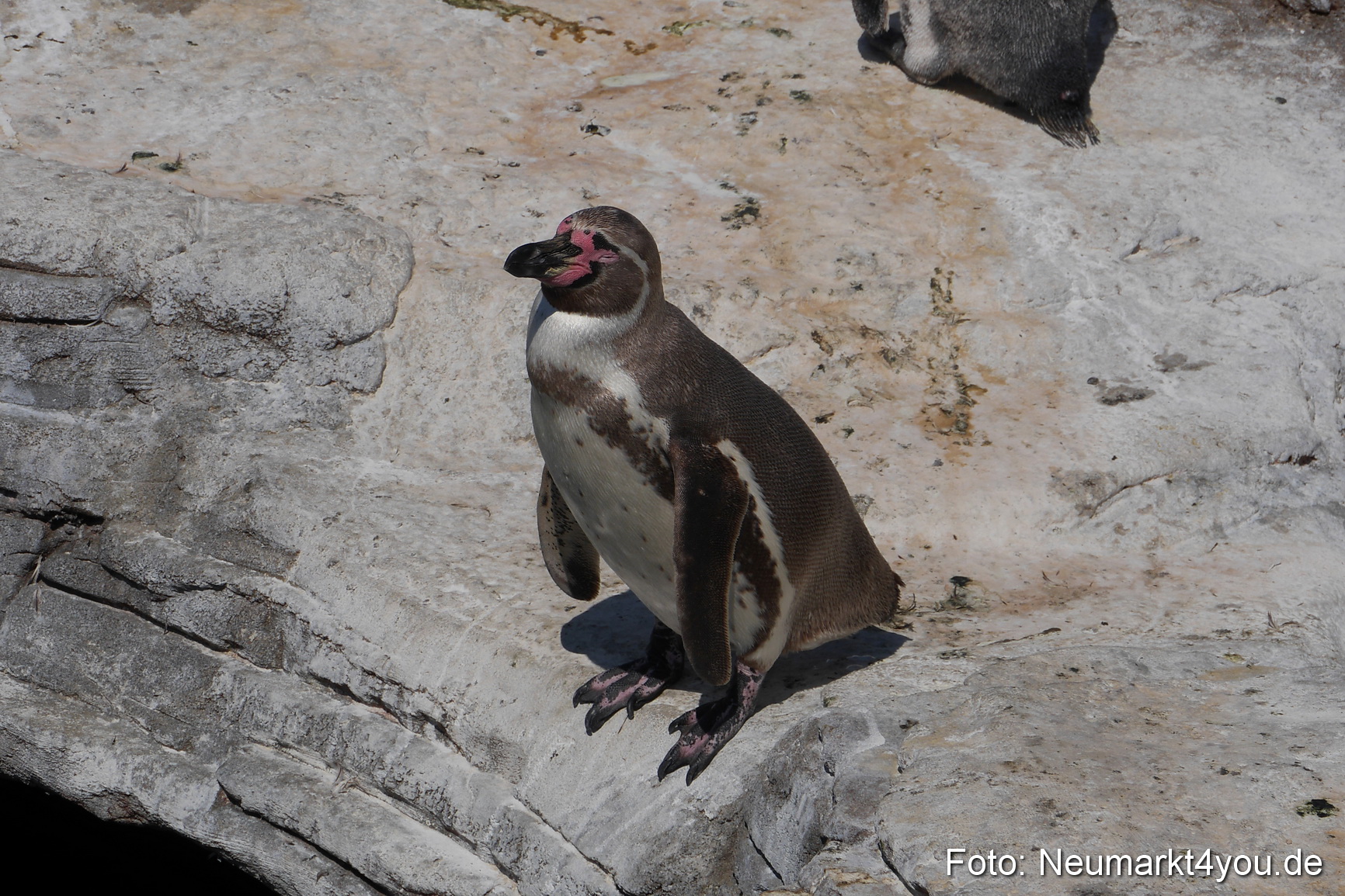 Stralsund Sommer 2014