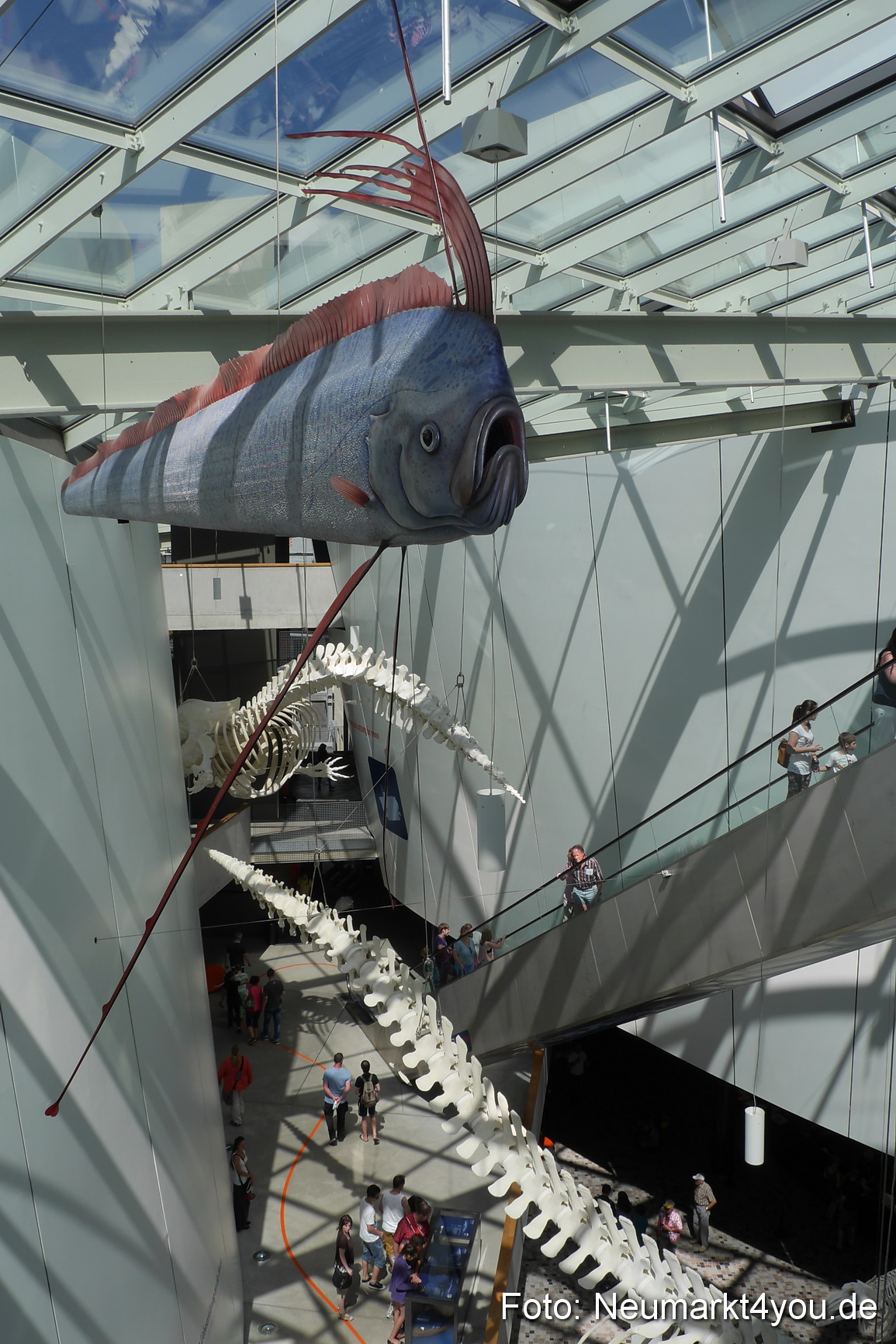 Stralsund Sommer 2014