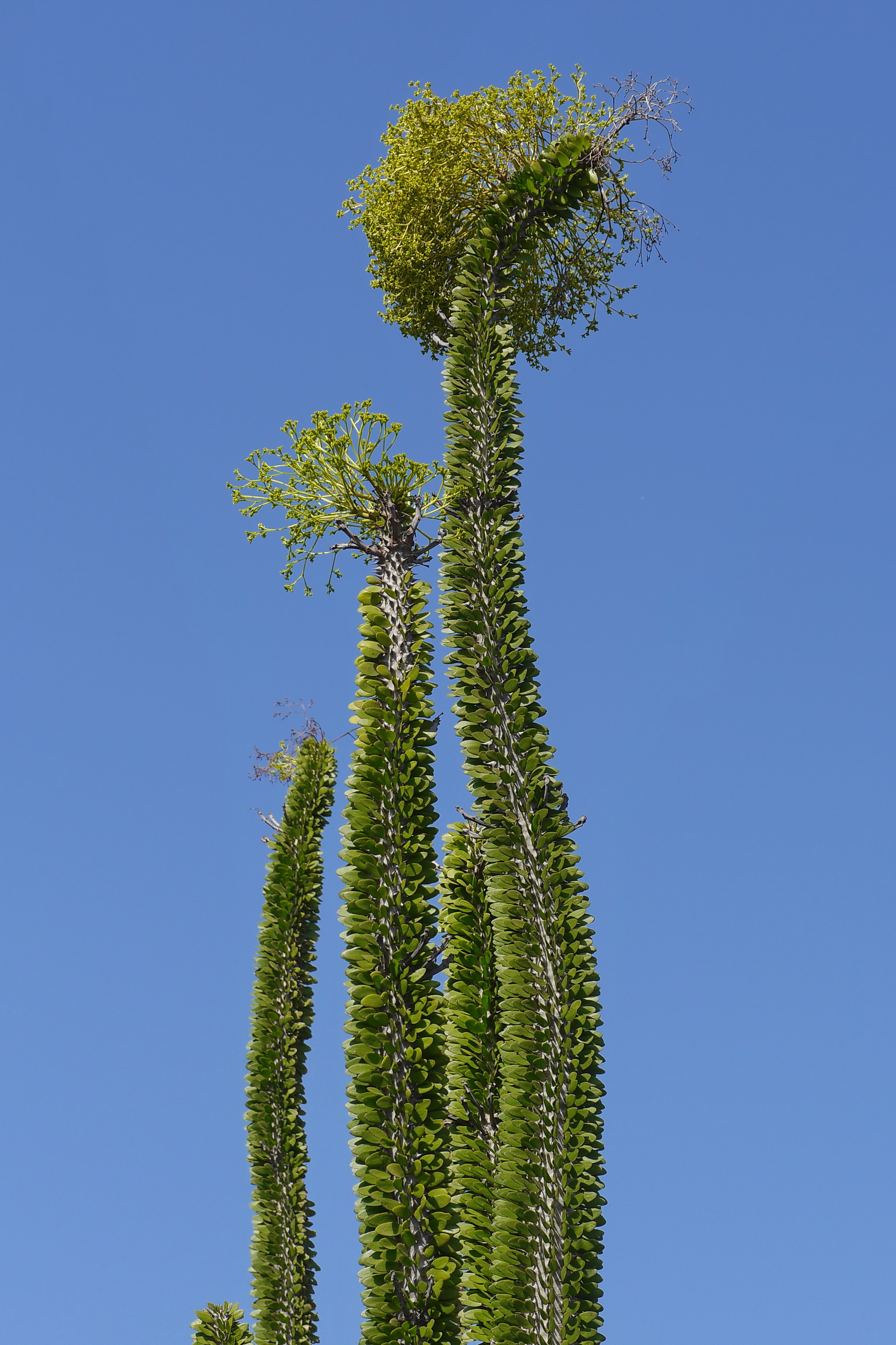 Lanzarote Hipotels La Geria 2018 0014