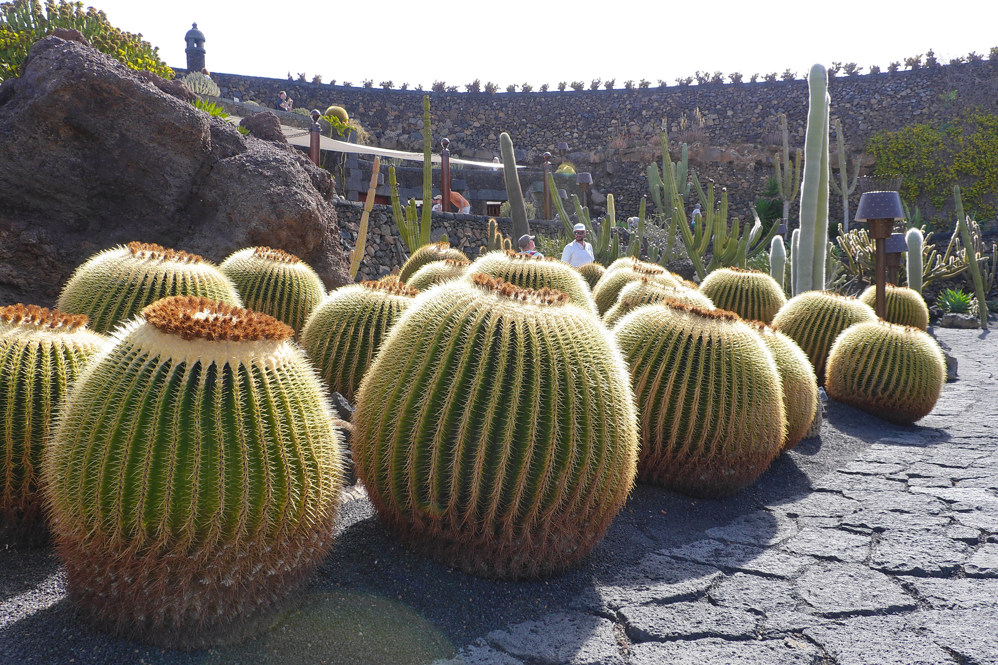 Lanzarote Hipotels La Geria 2018 0015