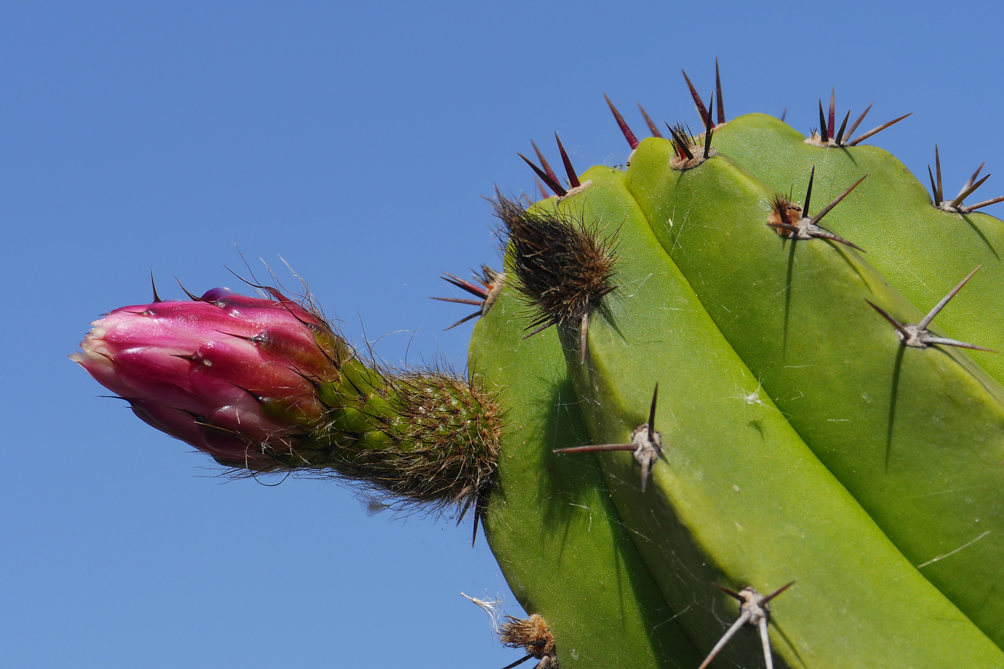 Lanzarote Hipotels La Geria 2018 0018