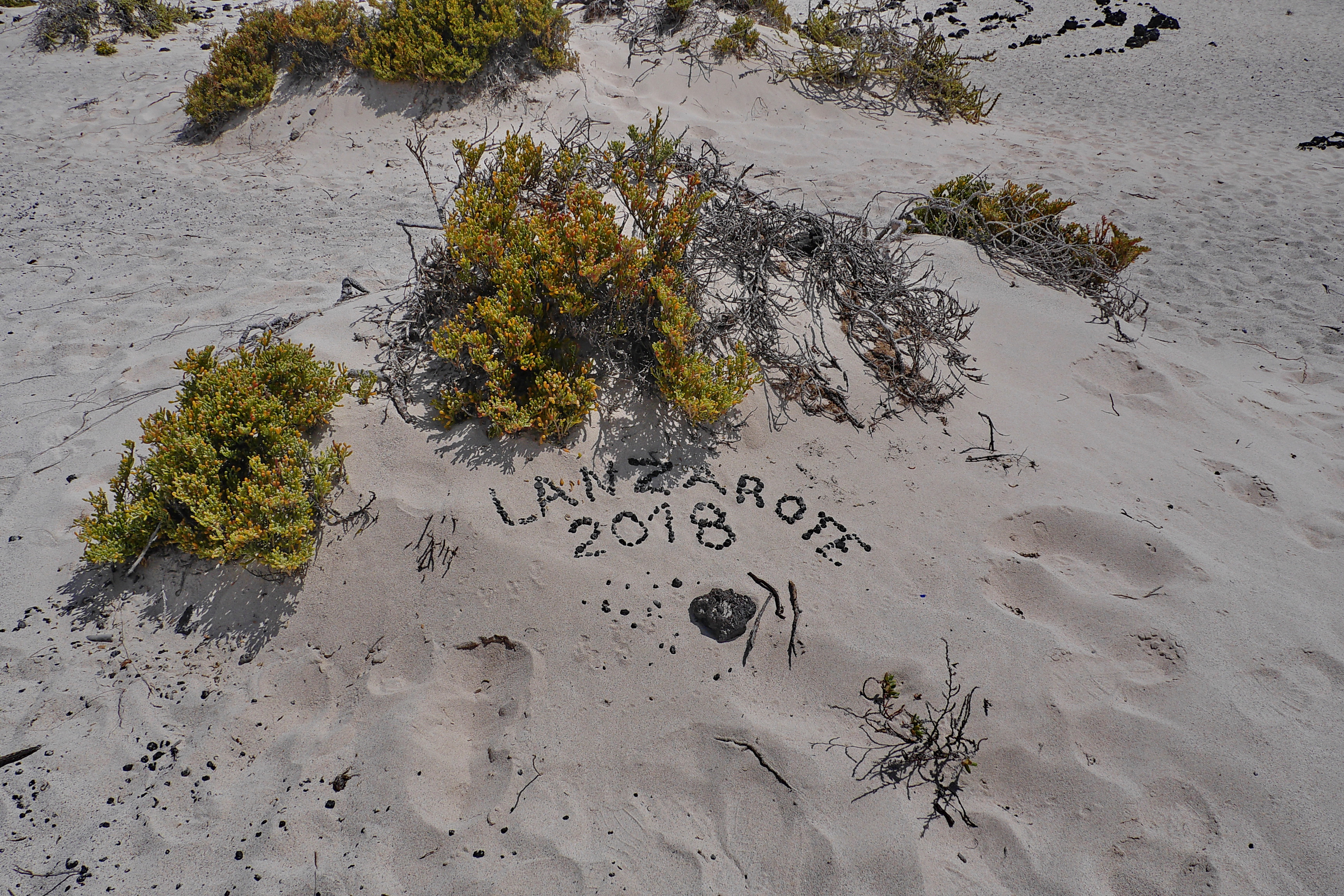 Lanzarote Hipotels La Geria 2018 0037