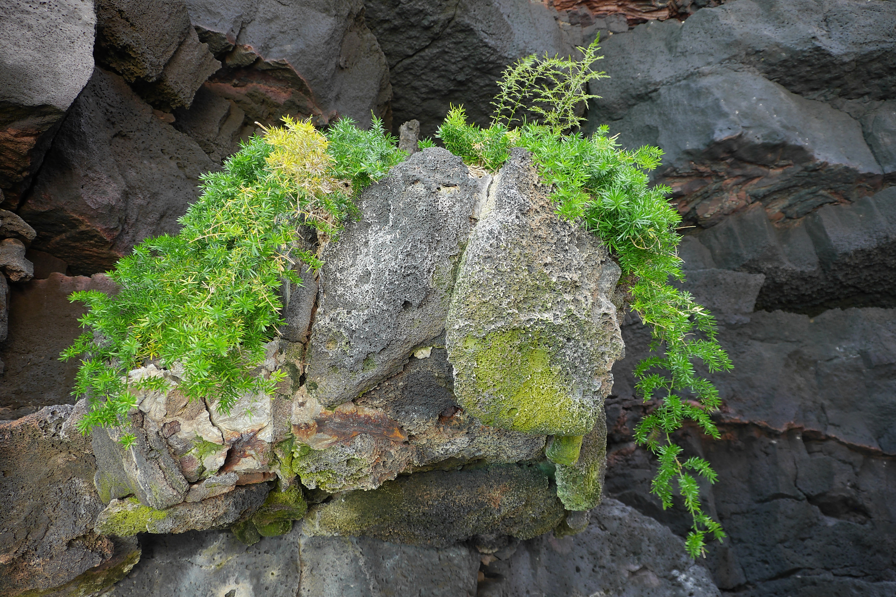 Lanzarote Hipotels La Geria 2018 0050