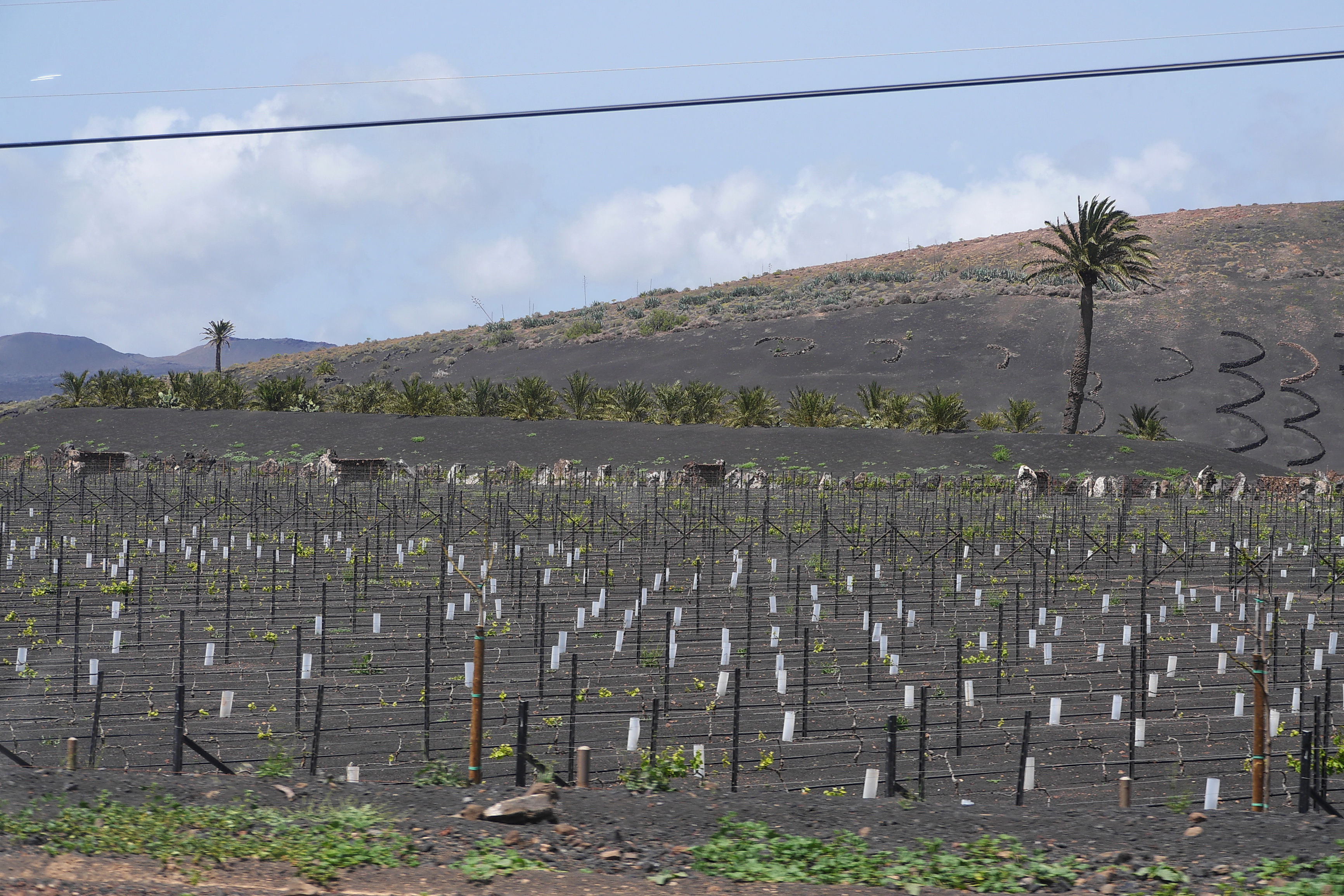 Lanzarote Hipotels La Geria 2018 0084
