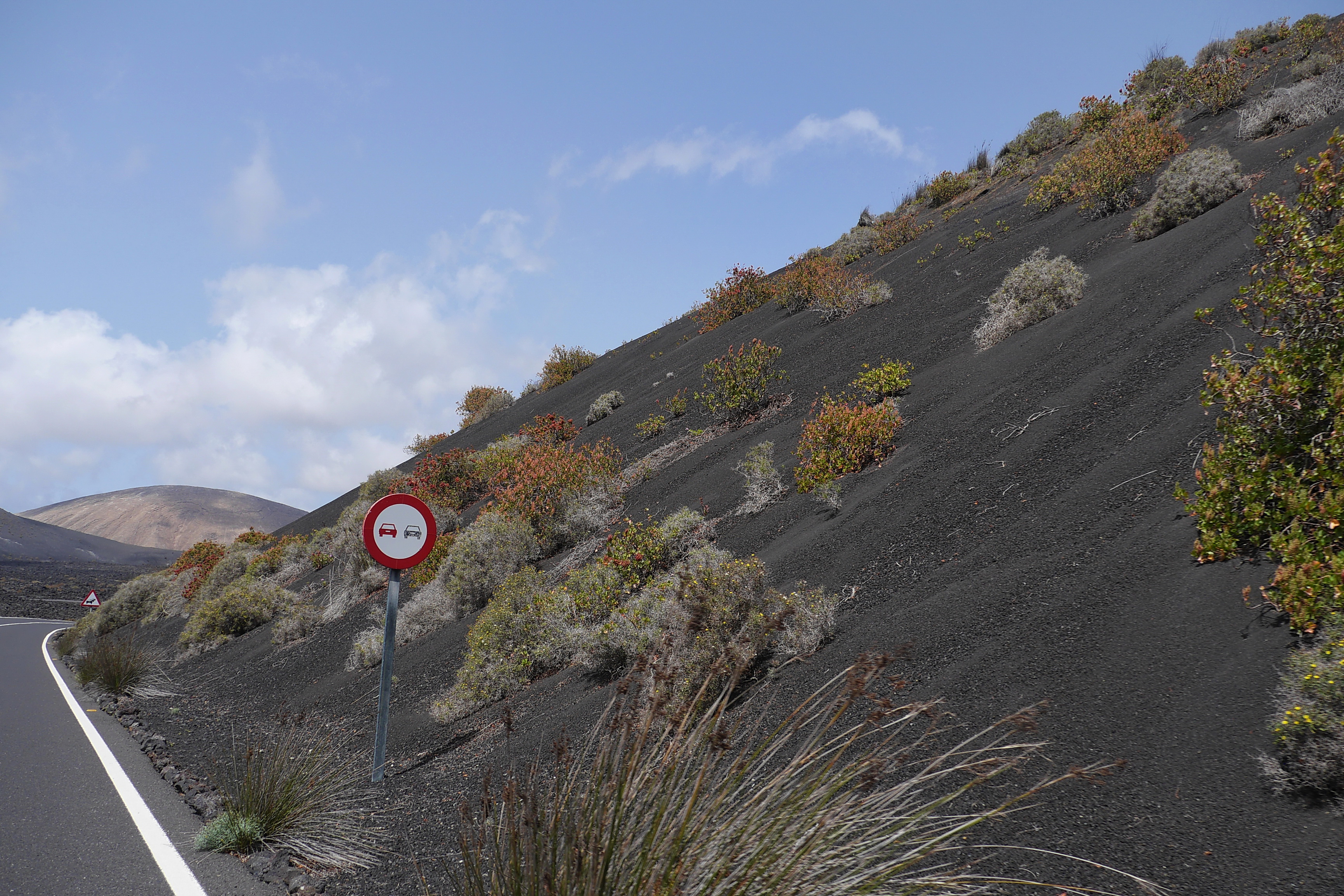 Lanzarote Hipotels La Geria 2018 0089