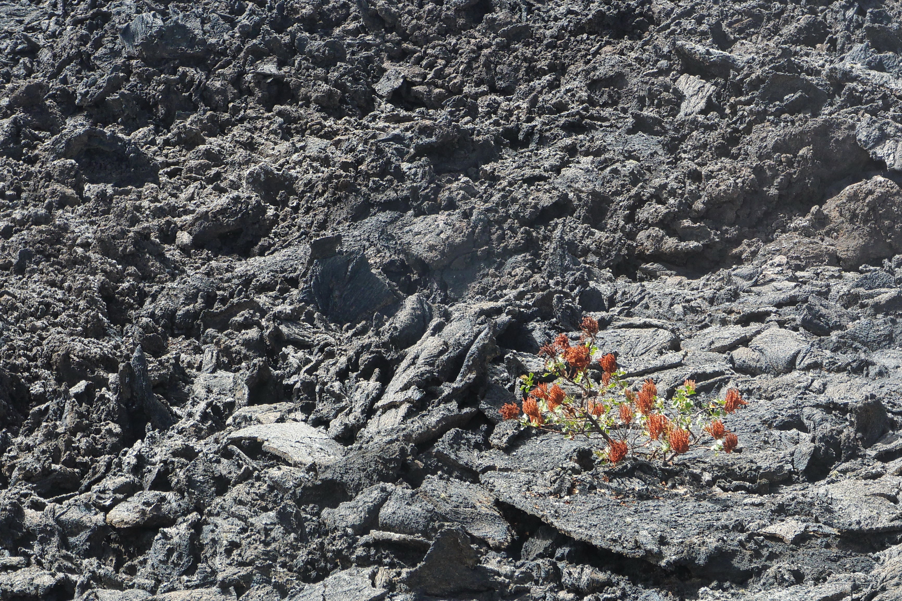Lanzarote Hipotels La Geria 2018 0093