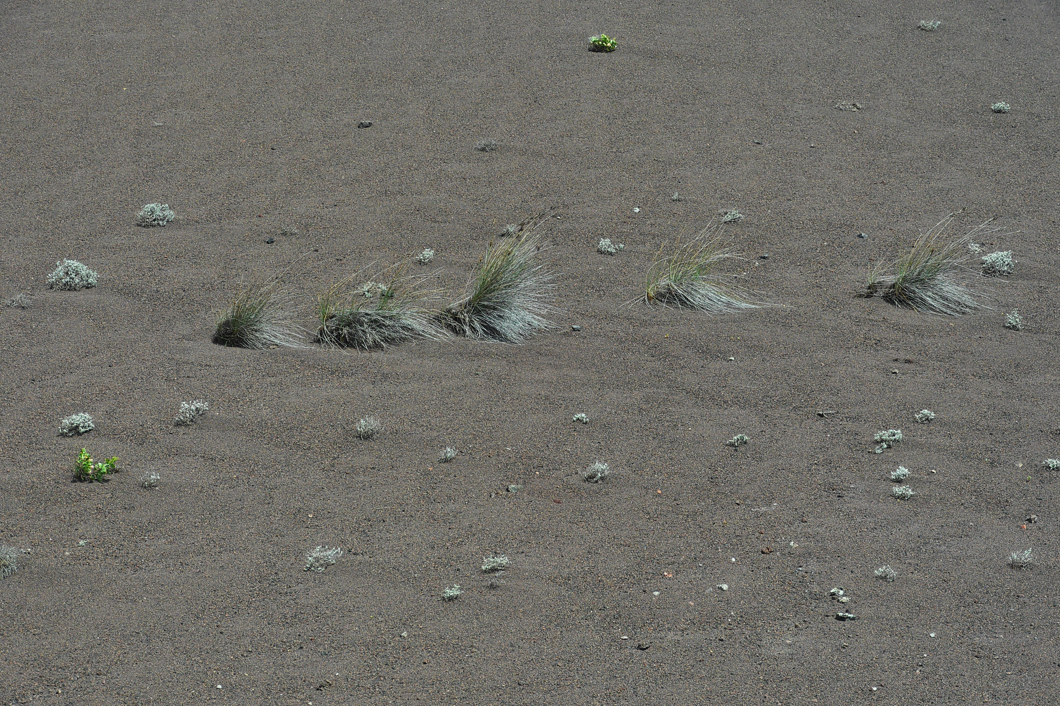 Lanzarote Hipotels La Geria 2018 0095