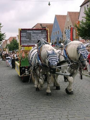 1Volksfestzug 09