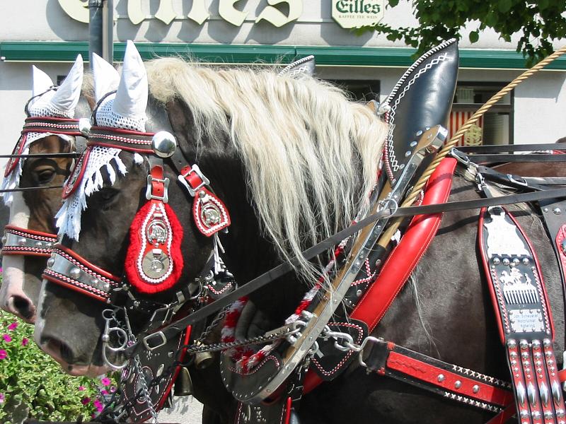 0085 Volksfestzug 110803