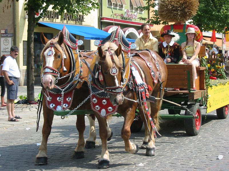 0175 Volksfestzug 110803