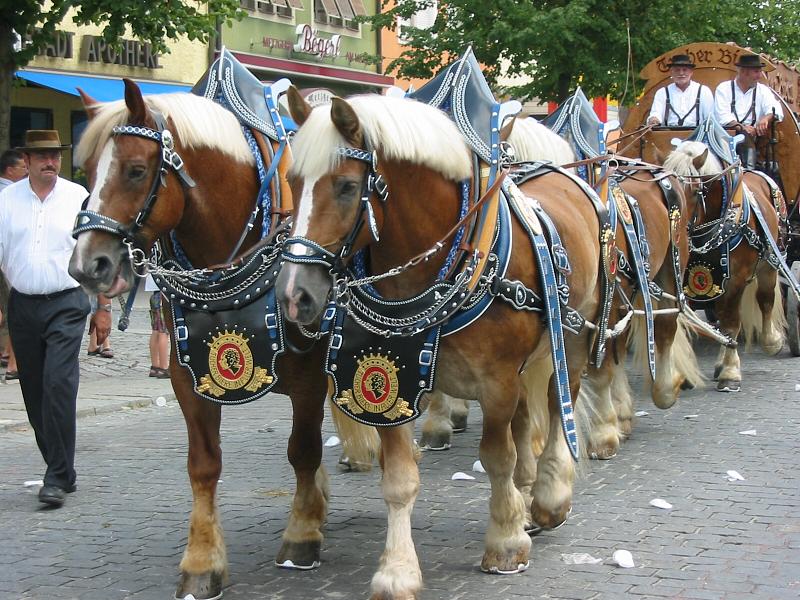 0200 Volksfestzug 110803