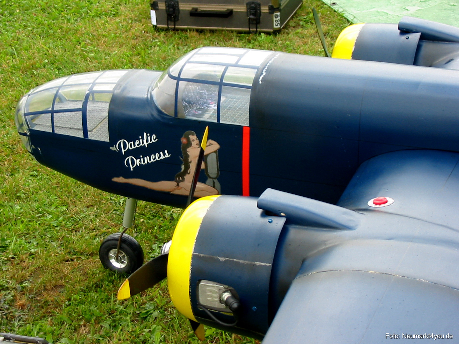 0010 Grossflugtag Hemau 290804