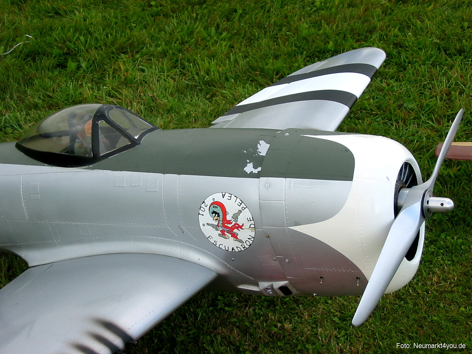 0015 Grossflugtag Hemau 290804