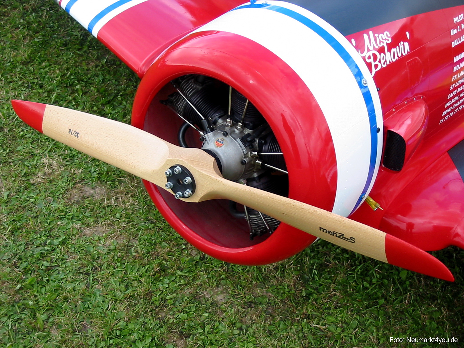 0025 Grossflugtag Hemau 290804