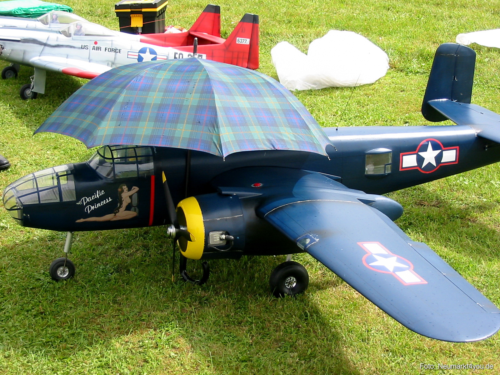 0065 Grossflugtag Hemau 290804