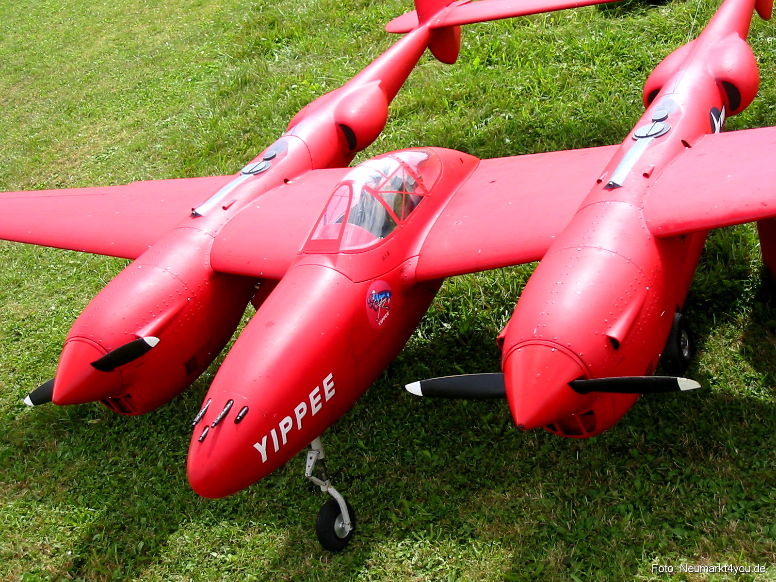 0090 Grossflugtag Hemau 290804