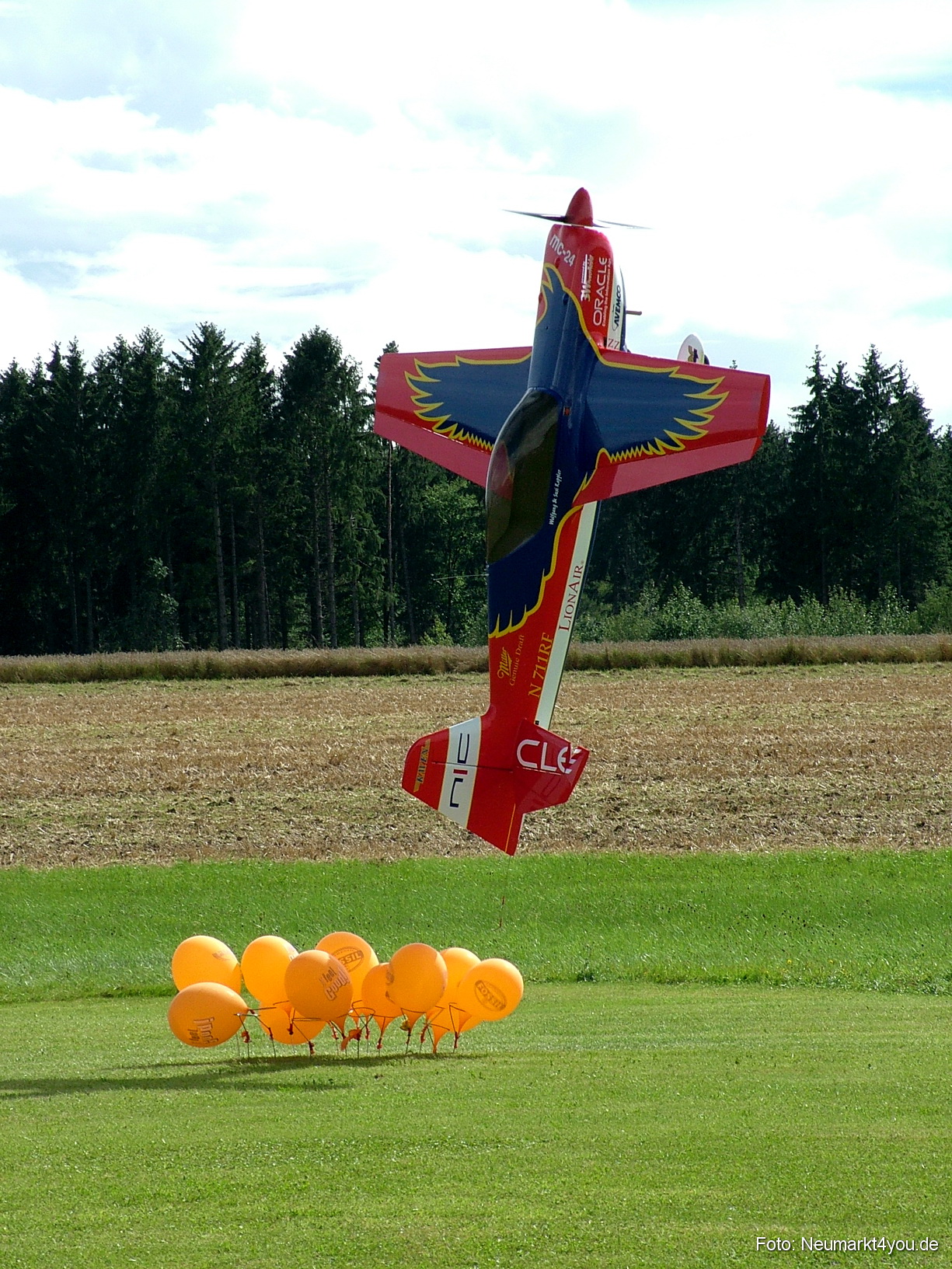 0390 Grossflugtag Hemau 290804