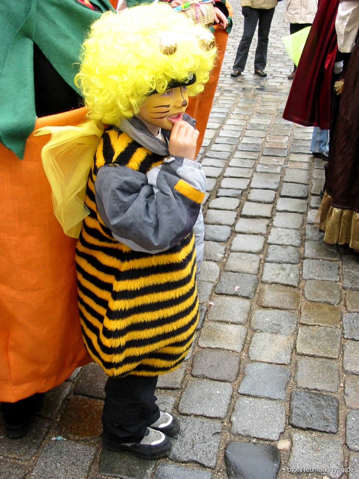 Faschingszug Berching 0315