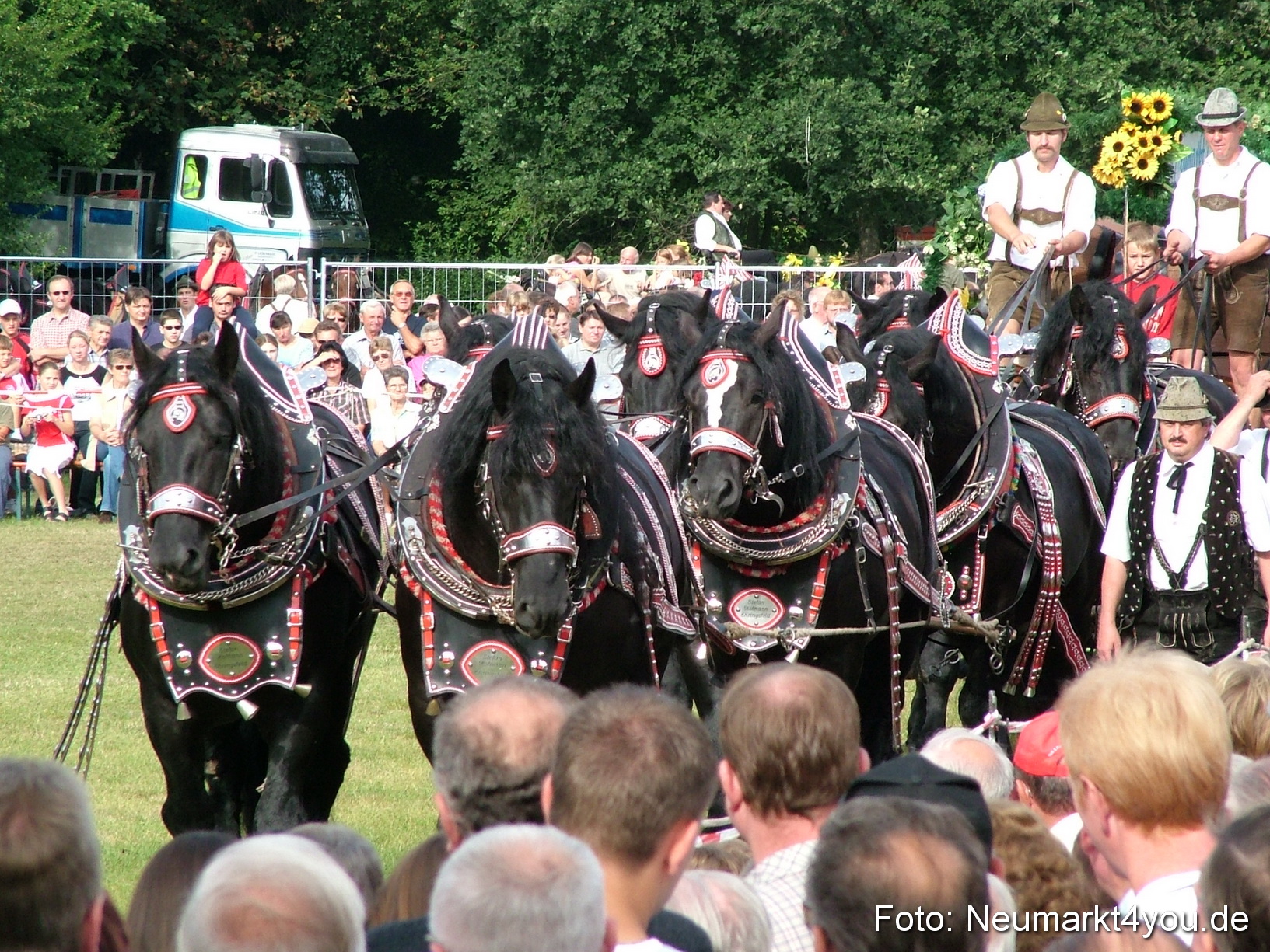 JURA Volksfest Pferde Und Fohlenschau 2004