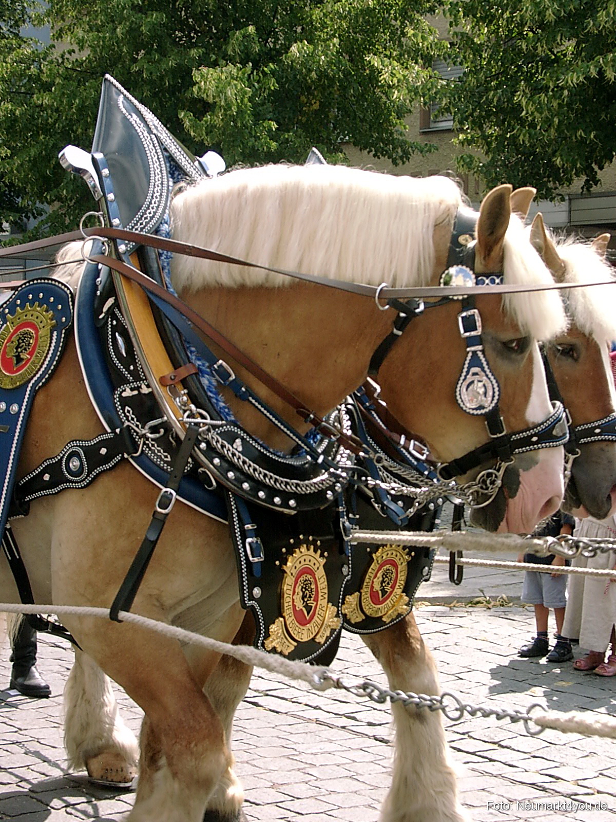 Volksfestzug 2004 239