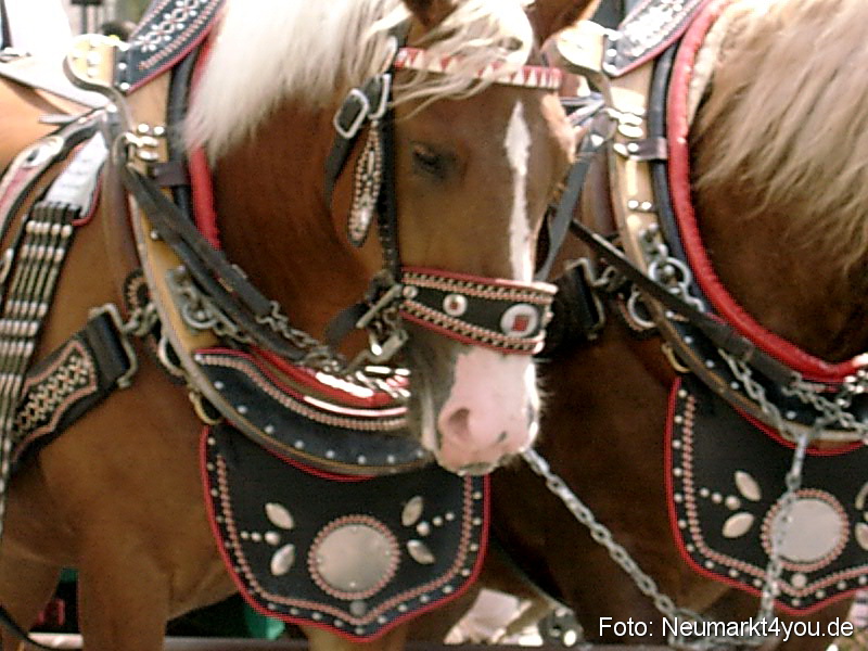 Volksfestzug 2004 52