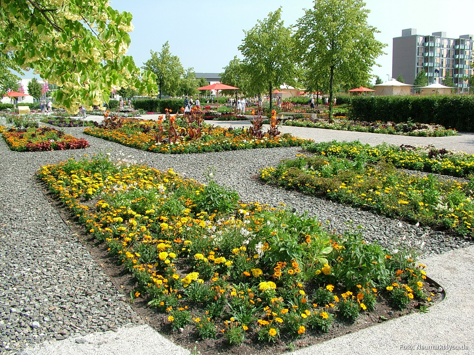 Bluetenteppich Eingang West 016