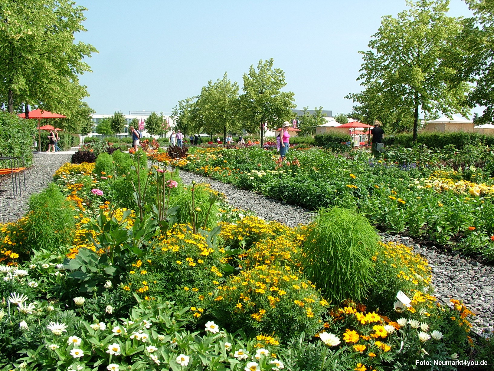 Bluetenteppich Eingang West 018