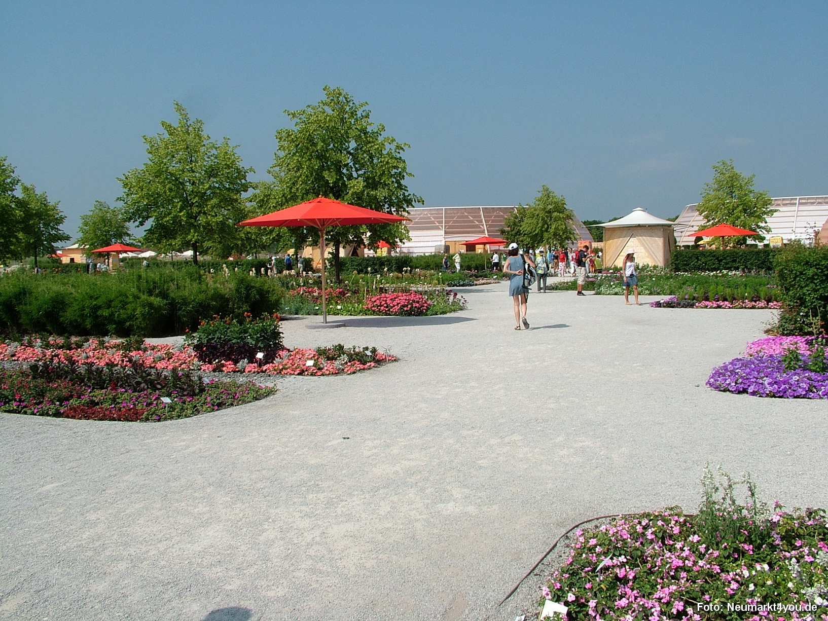 Bluettenteppich Eingang West 008