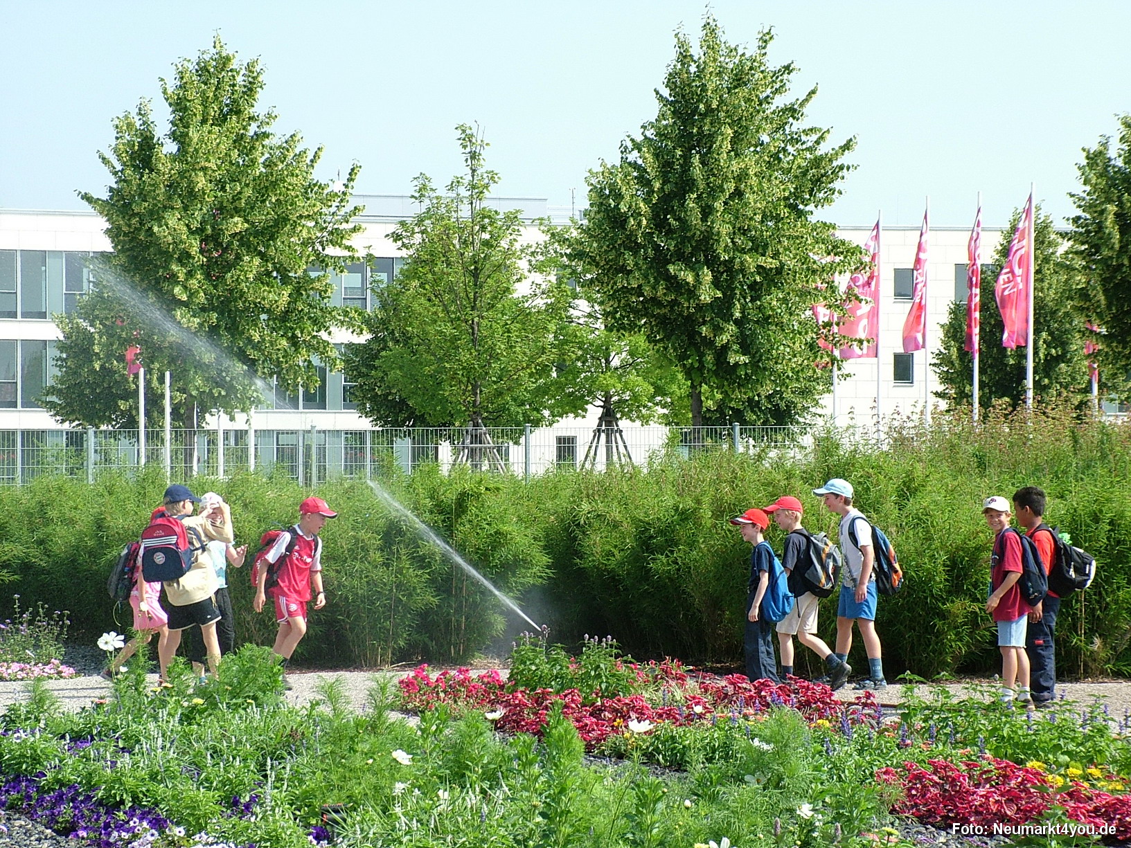 Bluettenteppich Eingang West 011