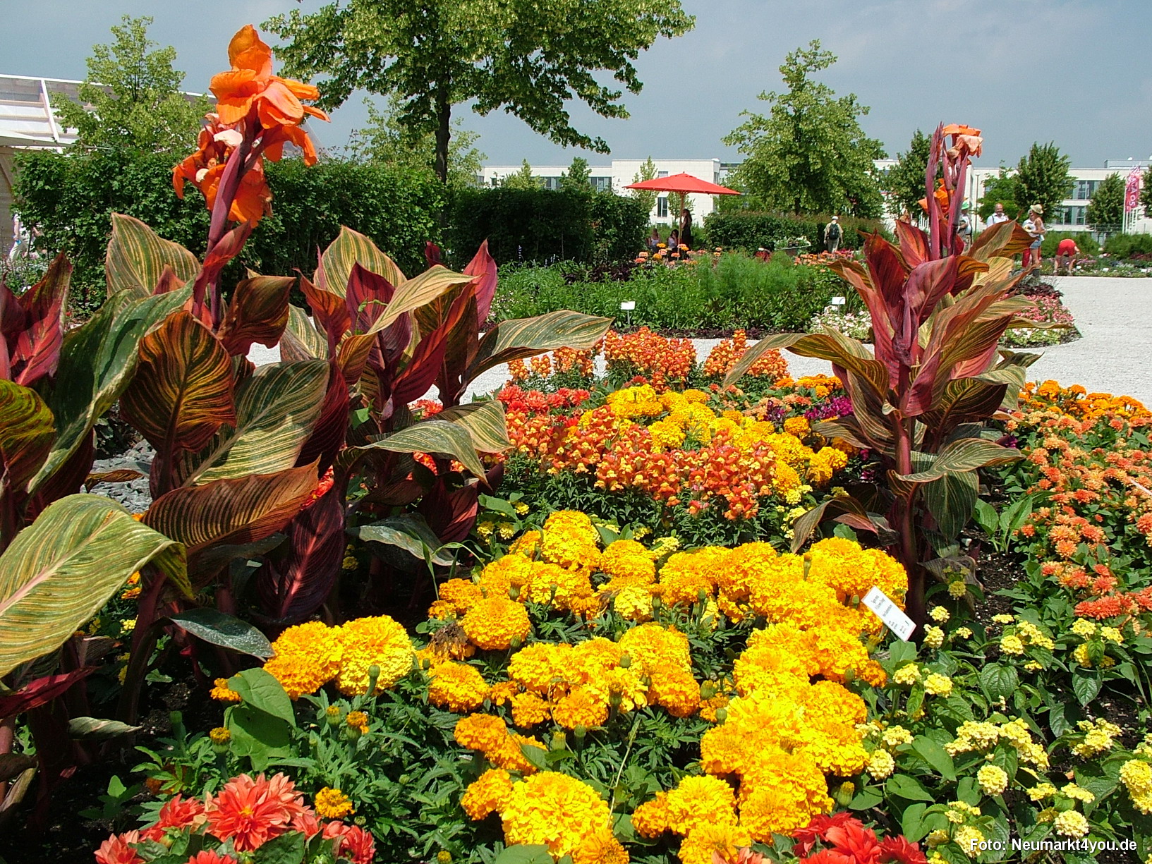 Bluettenteppich Eingang West 29