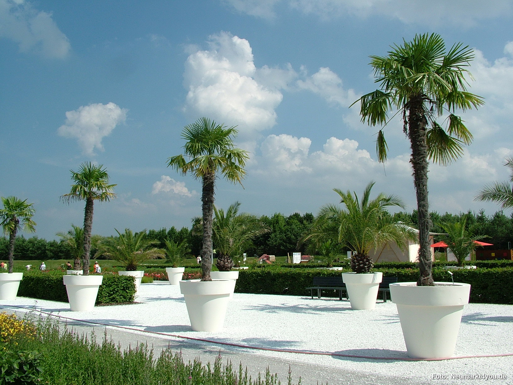 Parallele Gaerten 050