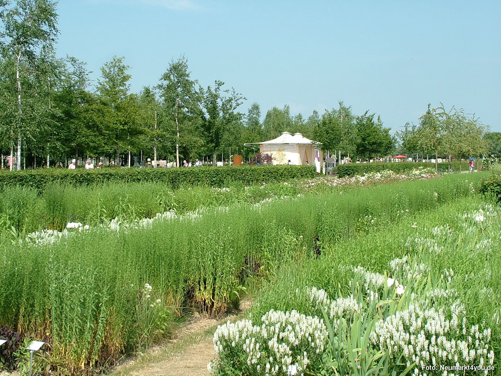 Parallele Gaerten 052