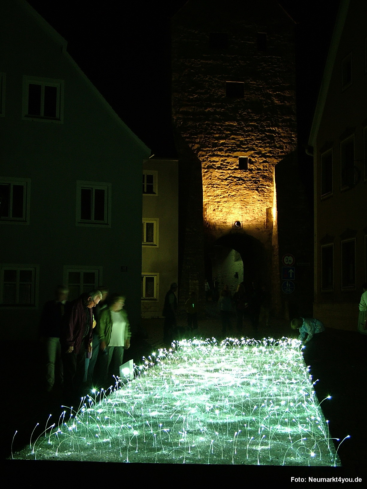 Lichtwiese Berching 021