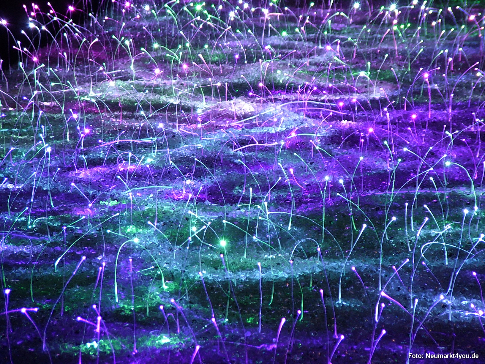 Lichtwiese Berching 023