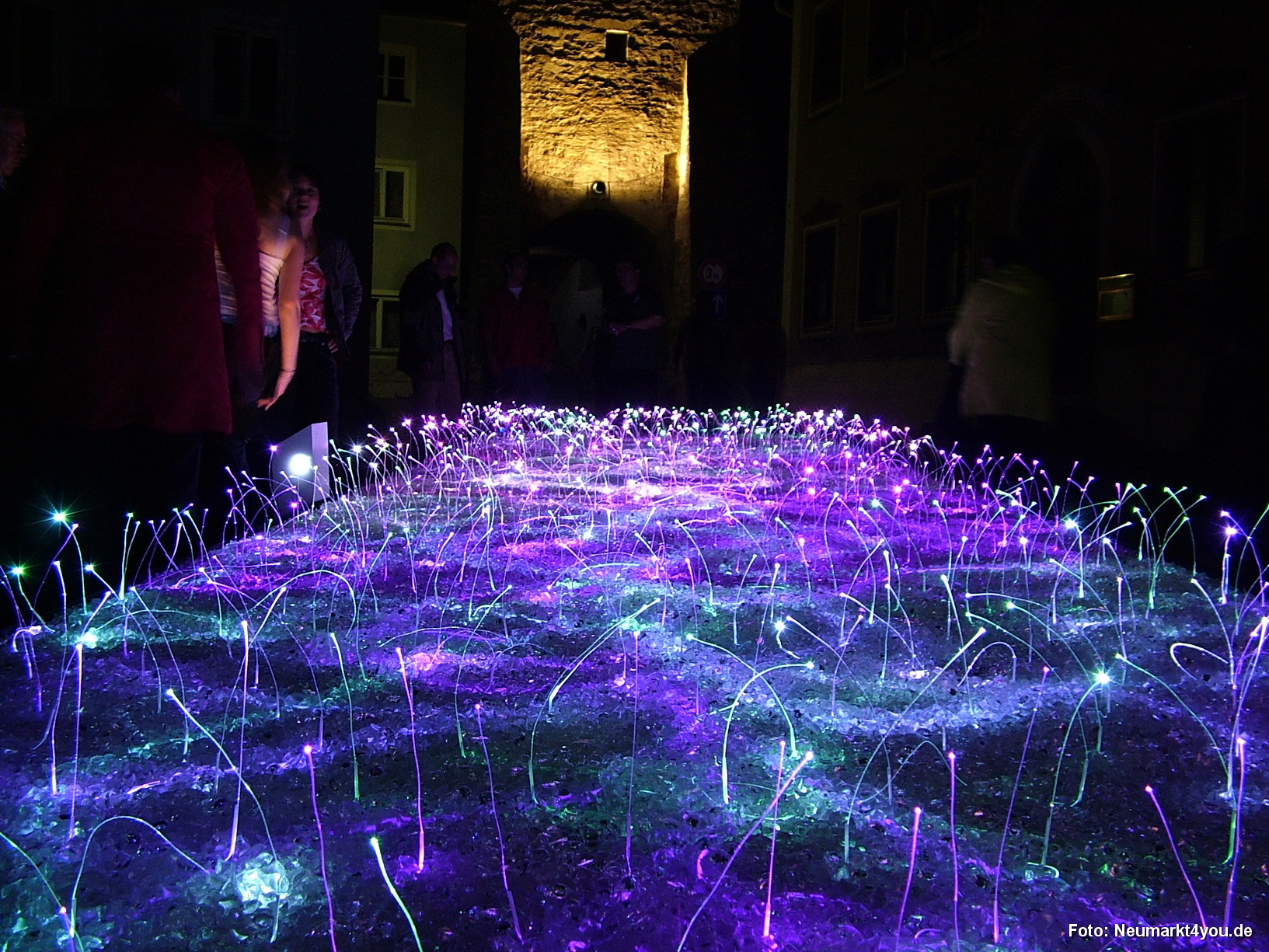 Lichtwiese Berching 024