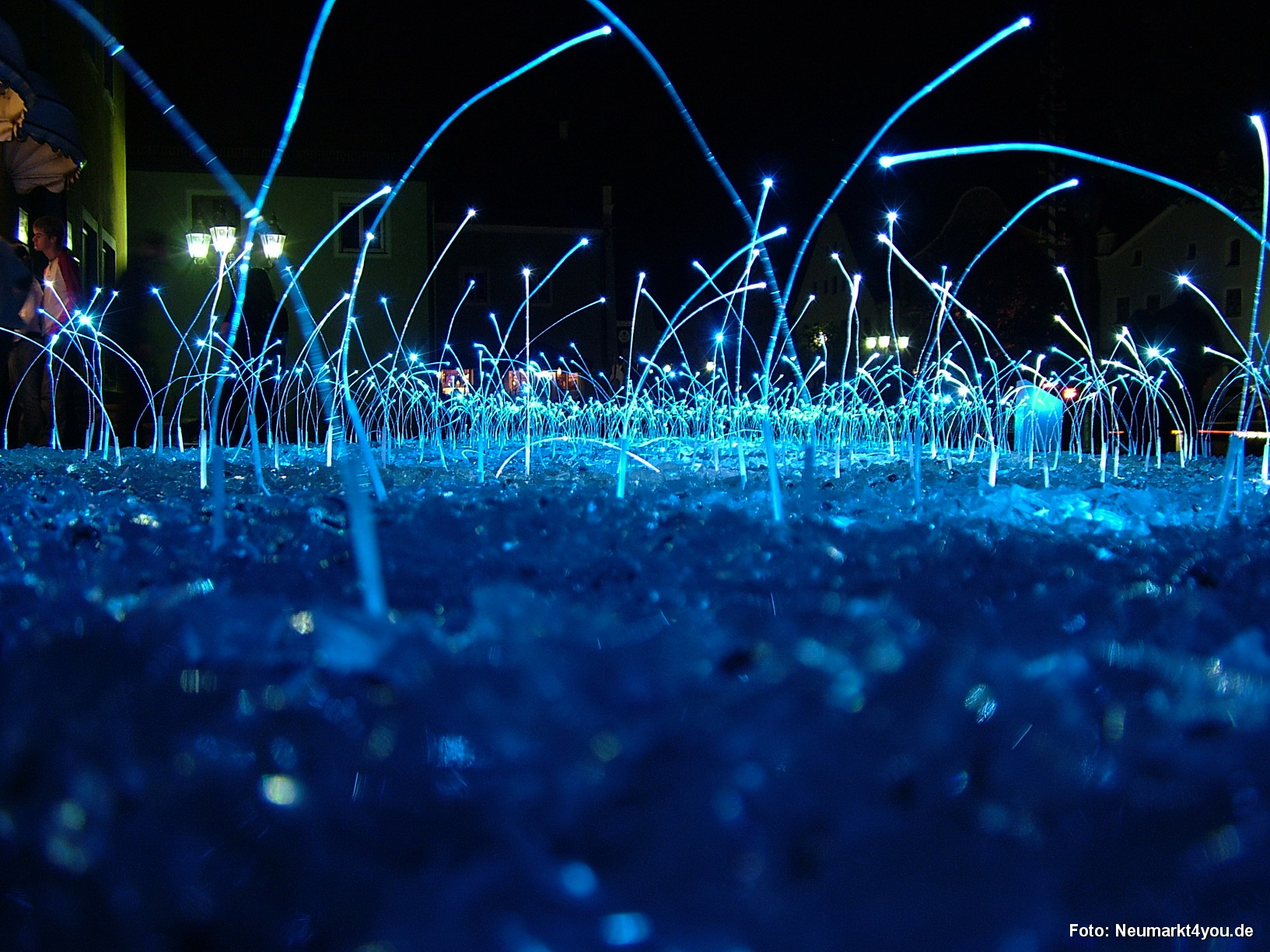 Lichtwiese Berching 025