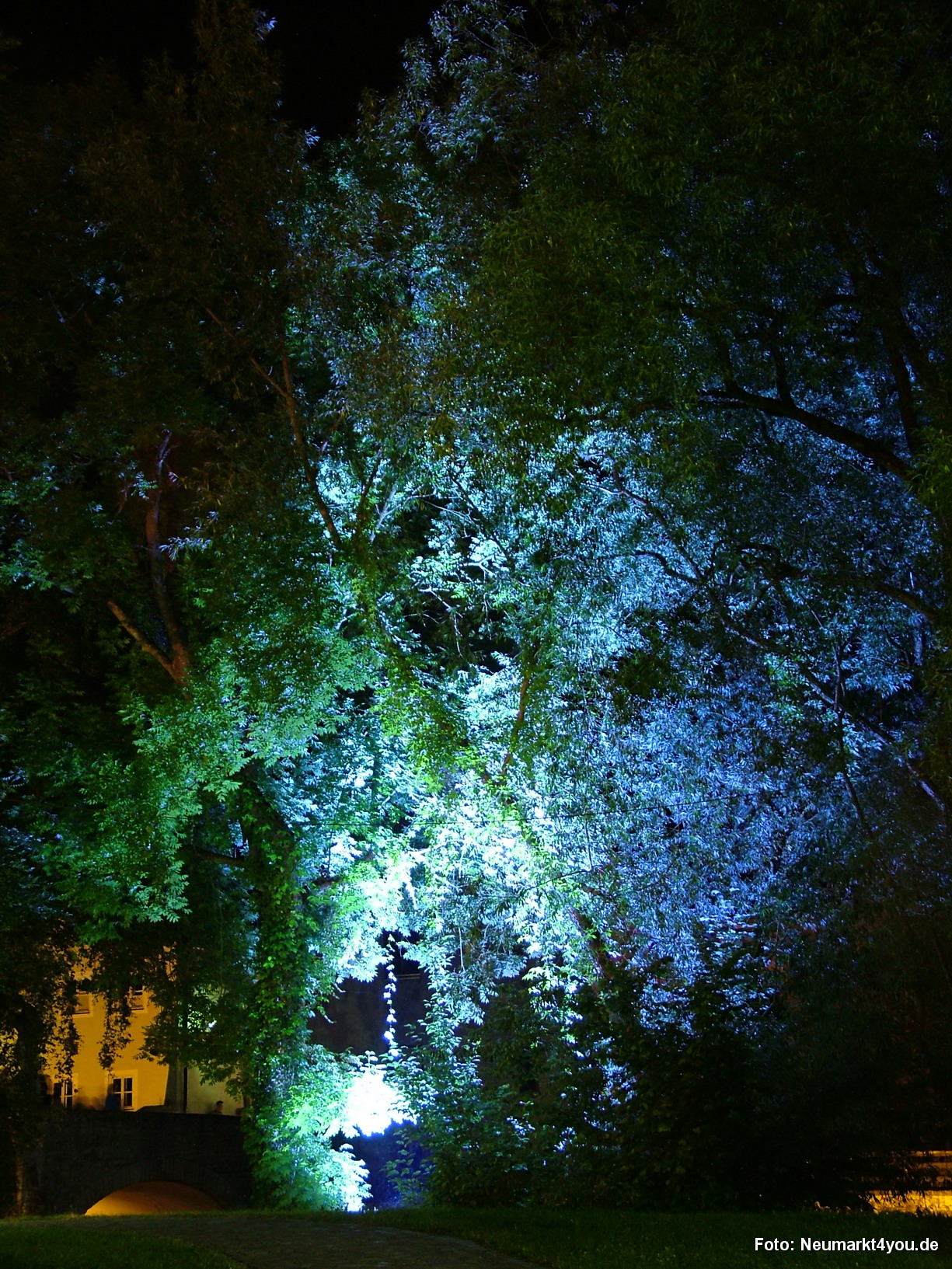 Wehrmauer Berching 019