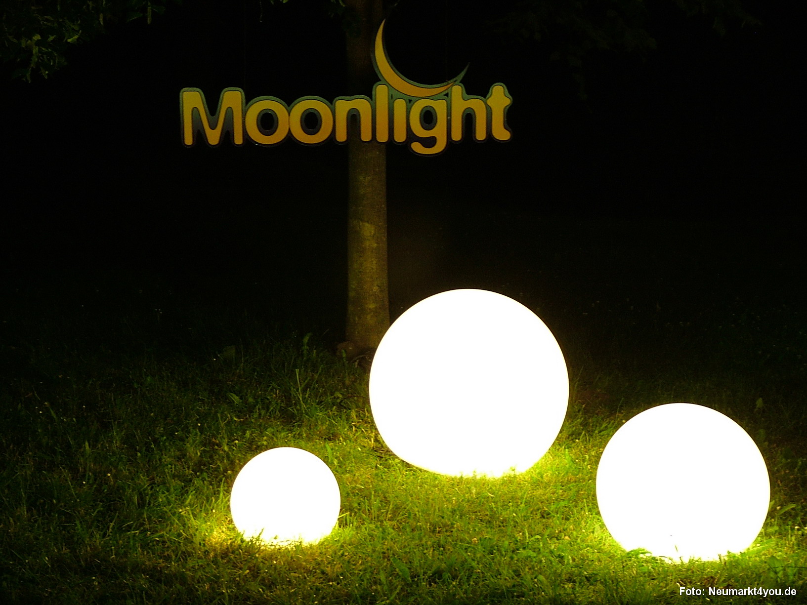 Wehrmauer Berching 020