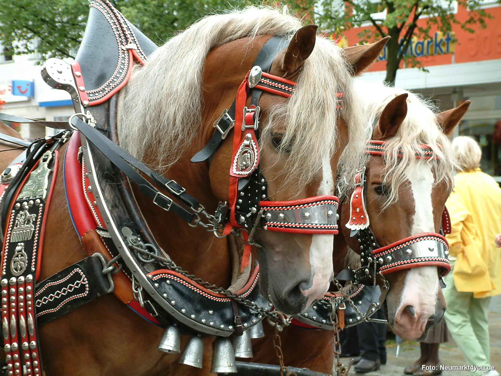 010 Volksfestzug 140805