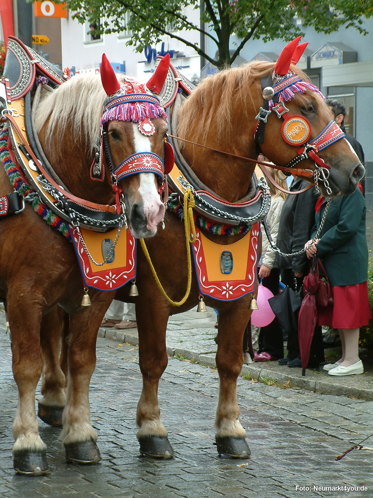 013 Volksfestzug 140805